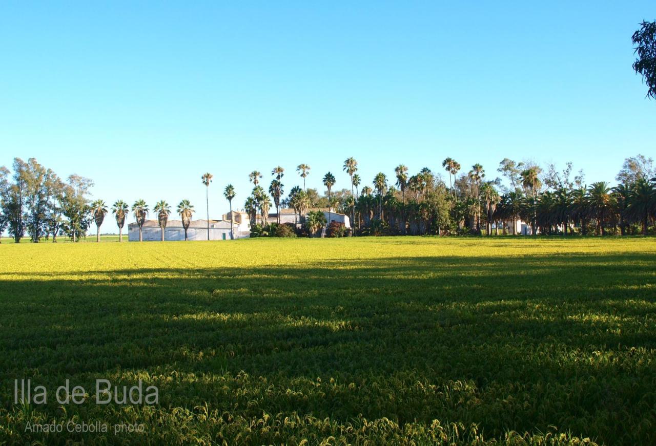 Villa Paquita - Delta De L'Ebre Deltebre Exteriör bild