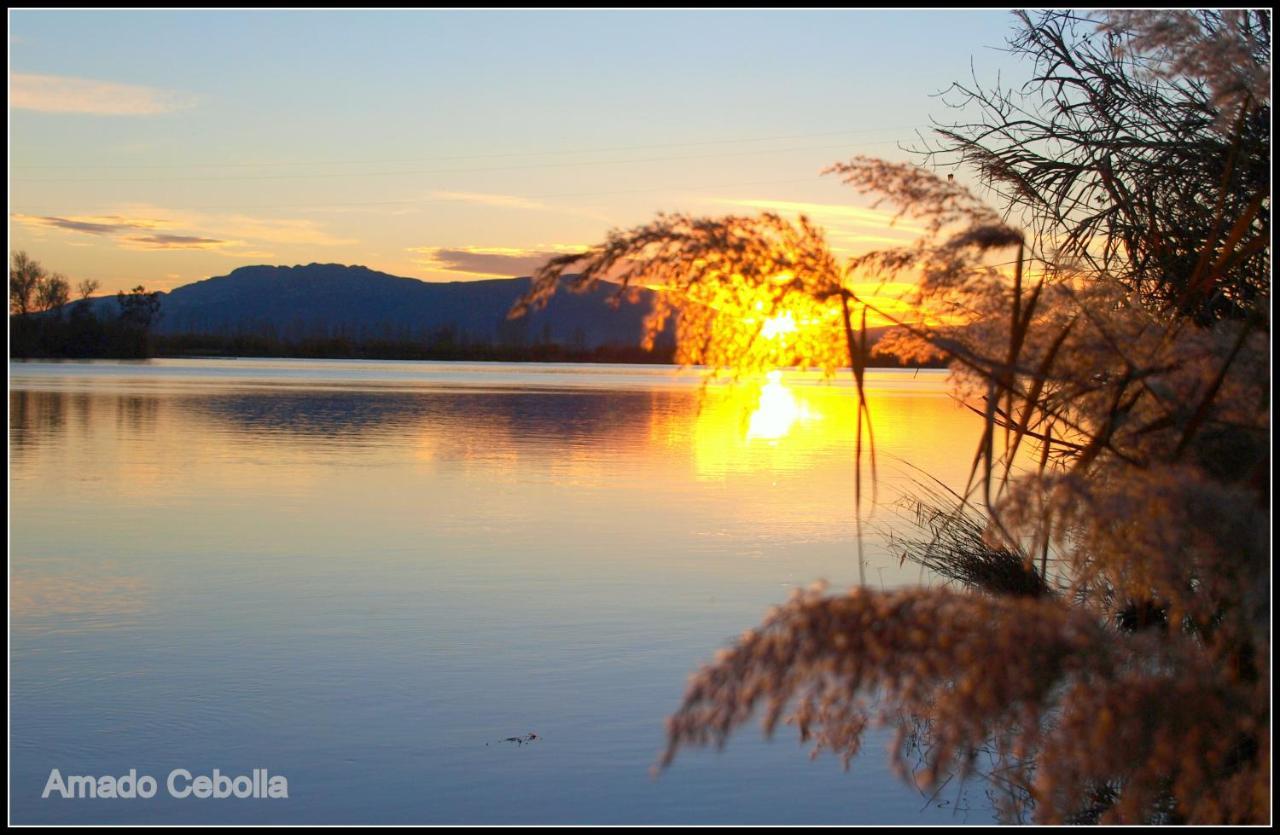 Villa Paquita - Delta De L'Ebre Deltebre Exteriör bild