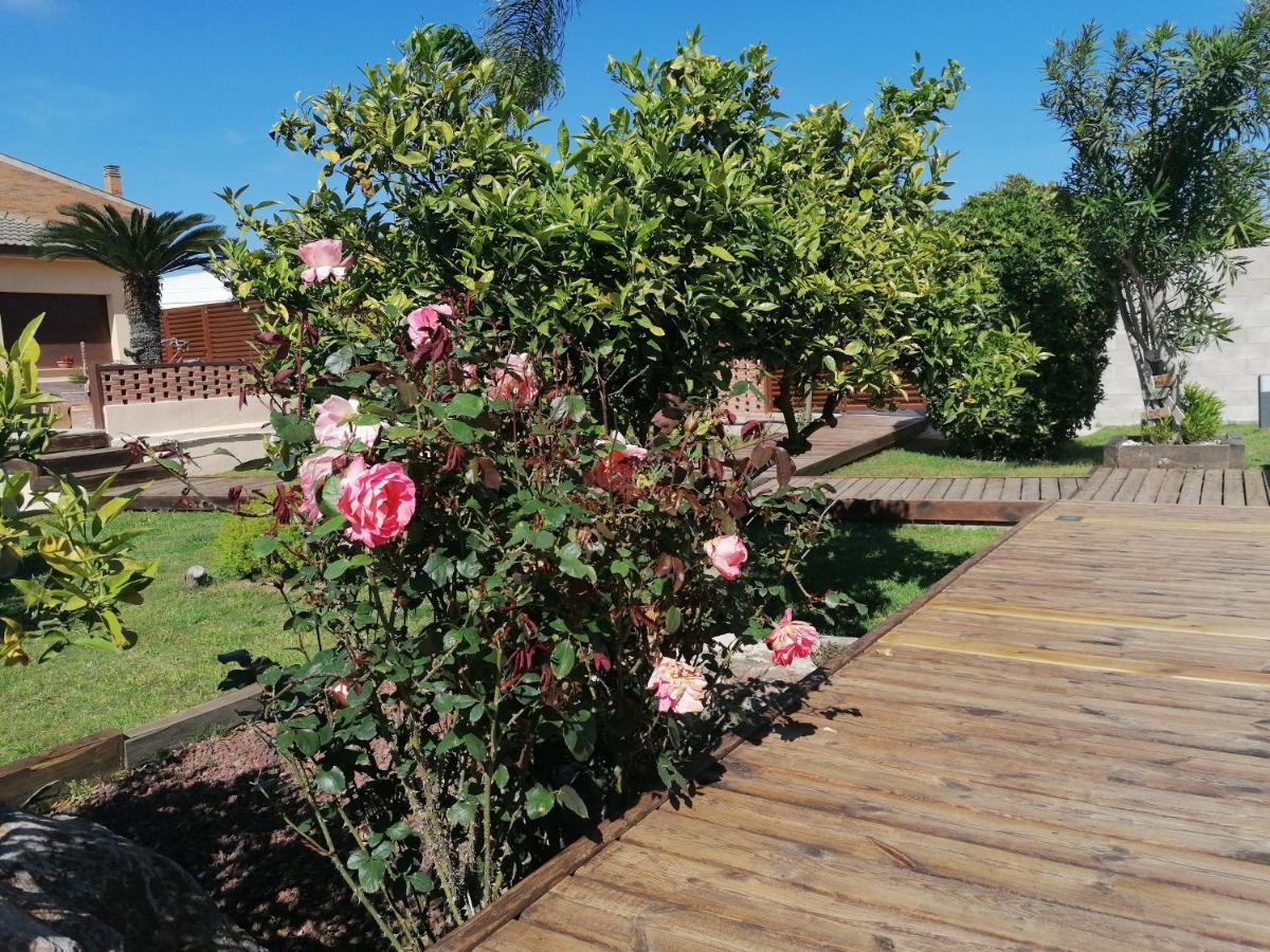 Villa Paquita - Delta De L'Ebre Deltebre Exteriör bild